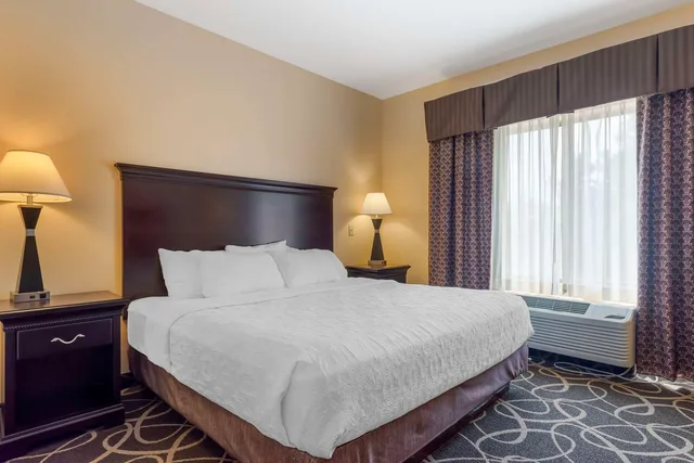 جناح بسرير كينج مع أريكة لذوي الإعاقة، Best Western Plus Eau Claire Conference Center 1/3