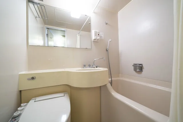 غرفة بسرير مزدوج، Hotel S-plus Nagoya Sakae (ex UNIZO INN Nagoya Sakae Higashi) 3/3