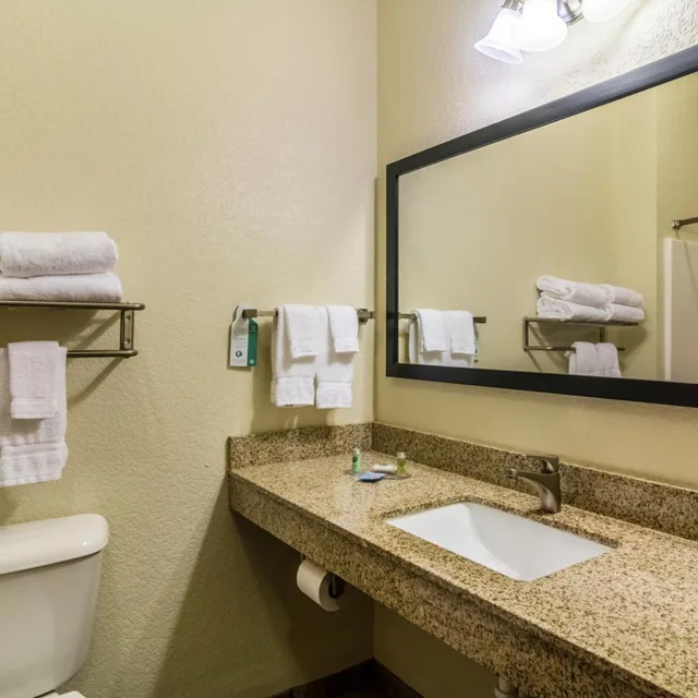 غرفة بسرير مزدوج، Cobblestone Hotel and Suites - Erie 7/8