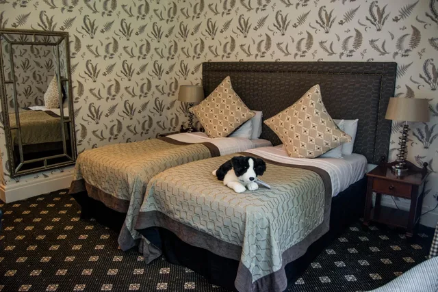 Standard, Twin Beds, The Coed y Mwstwr Hotel 2/2