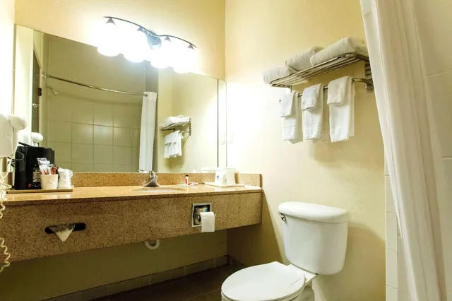 Deluxe, King Bed, Smoking, Days Inn & Suites By Wyndham Houston North/Aldine 5/6