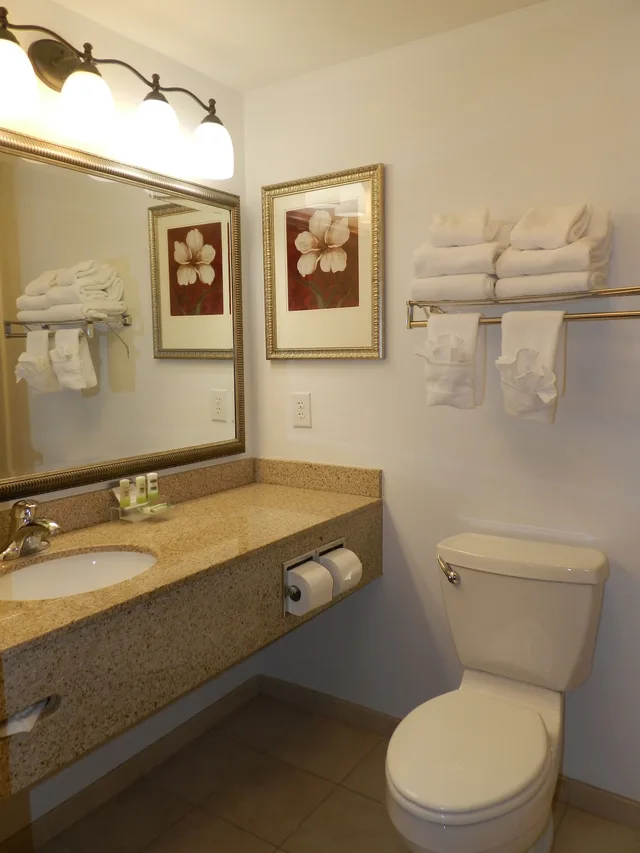 جناح استوديو بسرير كينج مع أريكة، Country Inn & Suites by Radisson, Braselton, GA 2/2