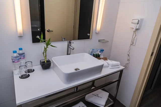 غرفة أساسية بسرير كينج، Hotel El Ejecutivo by Reforma Avenue 10/10
