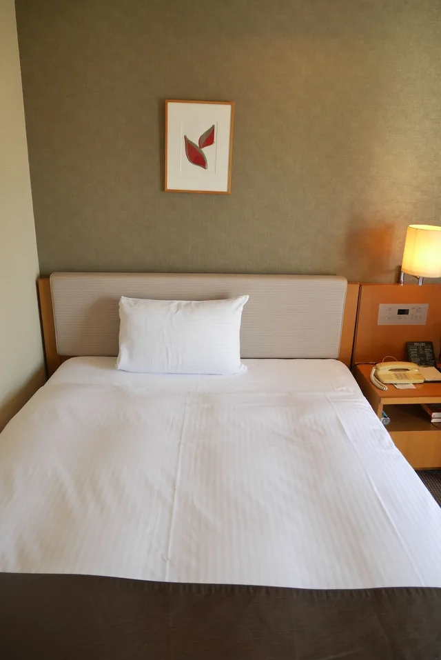 غرفة ديلوكس مفردة للمدخنين، Rembrandt Hotel Atsugi 2/11