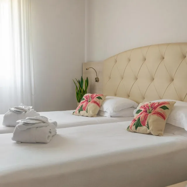 غرفة ديلوكس بسريرين منفصلين، Castello Hotel 4/7