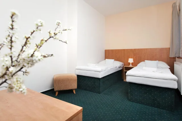 غرفة بسرير مزدوج أو سريرين منفصلين، Hotel Panská Lícha 4/8