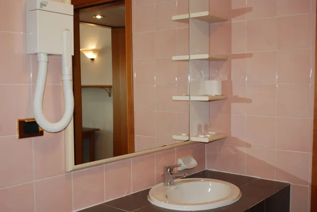 Business, Double Bed, Pegasus Hotel Il Vialetto 8/10