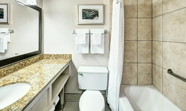 غرفة بسرير كينج لذوي الإعاقة، DoubleTree by Hilton Milwaukee Downtown 5/6