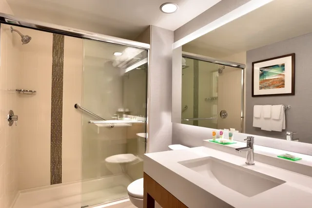 غرفة بسرير كينج مع أريكة، Hyatt Place St George 5/7