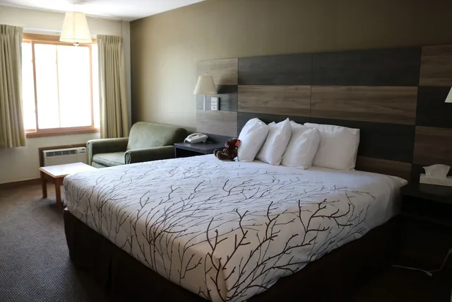 غرفة قياسية بسرير كينج بشرفة، Roosevelt Inn Mount Rushmore 3/9