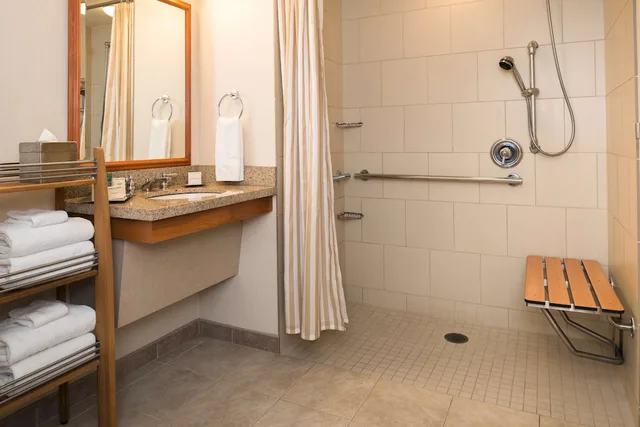 غرفة ديلوكس بسرير كينج بإطلالة على المسبح لذوي الإعاقة، Hilton Seattle Airport & Conference Center 2/2