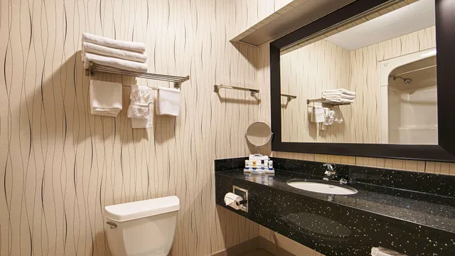 غرفة بسرير مزدوج، Best Western Plus Travel Hotel Toronto Airport 3/4
