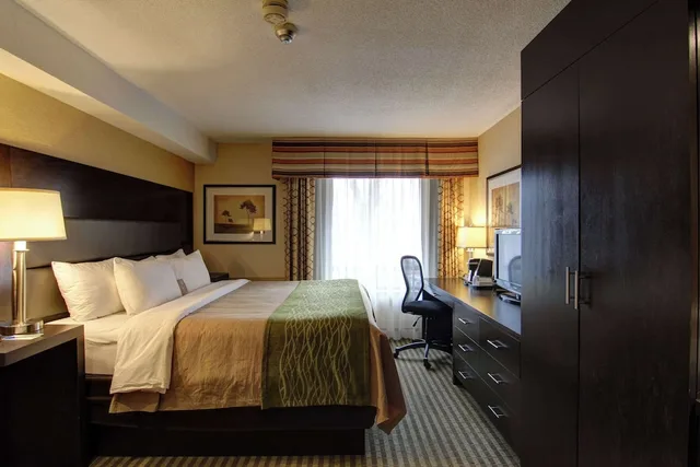 غرفة قياسية بسرير كينج في الطابق الأرضي، Comfort Inn Chatham 3/10