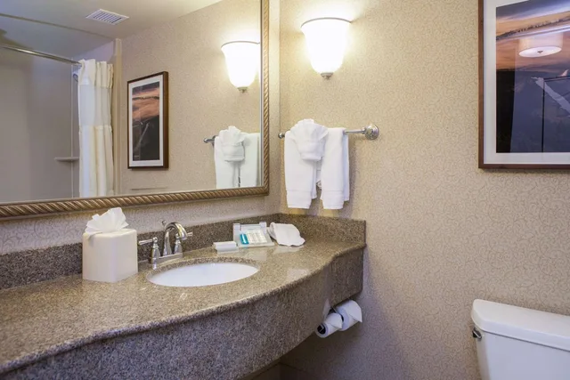 جناح جونيور بسريرين كوين مع أريكة، Hilton Garden Inn Boise/Eagle 3/5