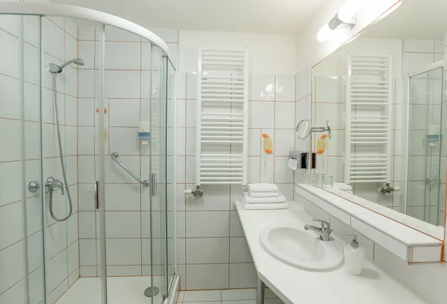 غرفة سوبيريور بسريرين منفصلين، Pannonia Hotel 6/6