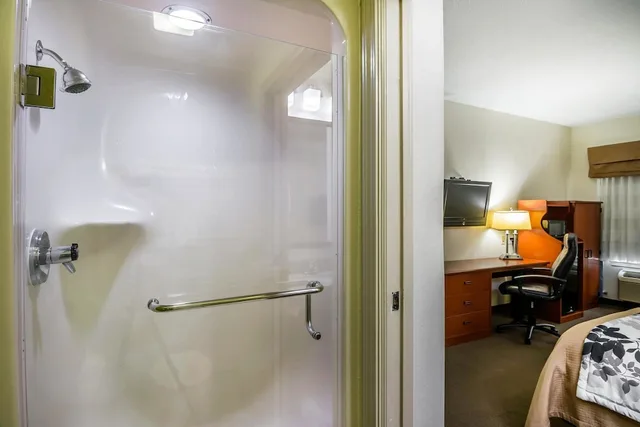 غرفة بسرير كوين لذوي الإعاقة، Sleep Inn Peachtree City - Atlanta 5/6