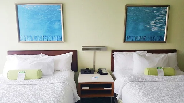 Studio, 2 Queen Beds, Trundle Bed, Springhill Suites Pittsburgh Monroeville 1/2