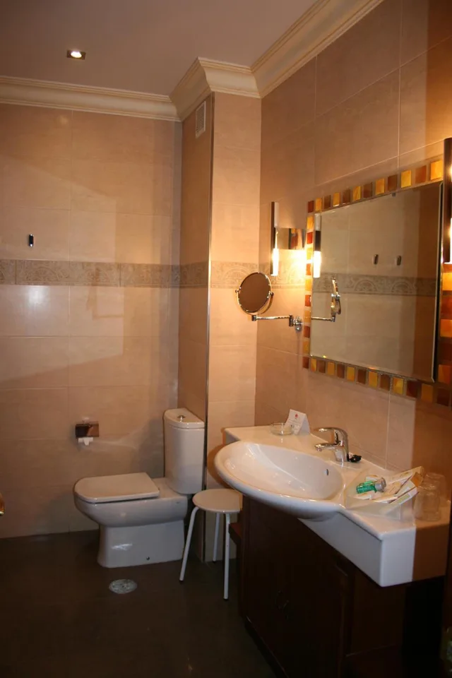 غرفة سوبيريور بسرير مزدوج، Hotel Palacio De La Magdalena 6/6
