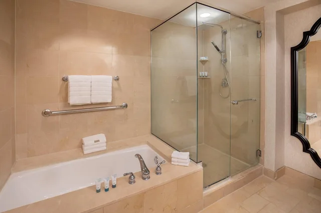1 Bedroom, Studio, Suite, City View, Westin Riverwalk Hotel 3/3
