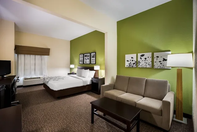 Suite, King Bed, Sofa, Sleep Inn & Suites Valdosta Mall Area 2/6