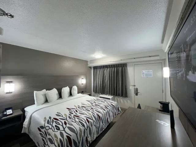 غرفة قياسية بسرير كينج، Red Roof Inn Lexington South 2/4