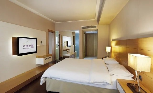 Junior Suite, Studio, Double Bed, Anemon Grand Konya Otel 1/3