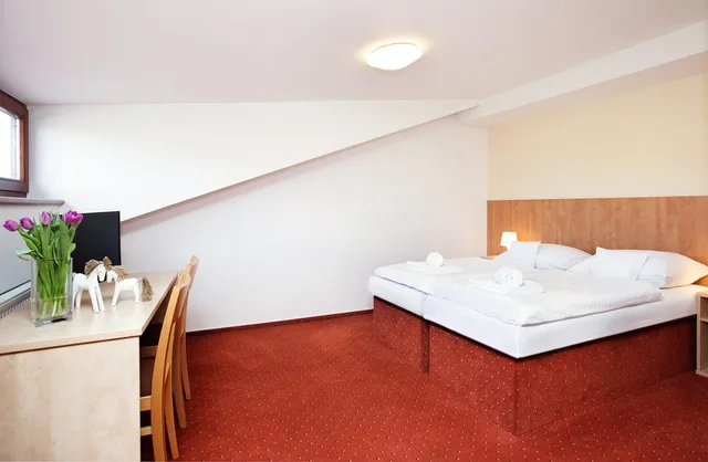 غرفة بسرير مزدوج أو سريرين منفصلين، Hotel Panská Lícha 3/8