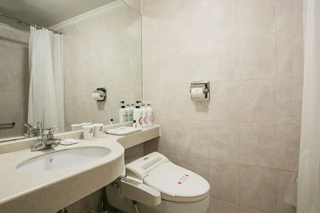 غرفة سوبيريور مزدوجة، Busan Tourist Hotel 4/4