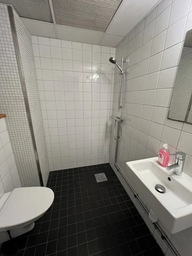 Female Dorm, Female Only, Basic, 10 Bunk Beds, No Window, Private Bathroom، Hostel Dalagatan 3/6