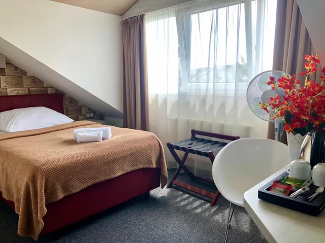 غرفة كلاسيكية مفردة، Hotel Shato 9/20