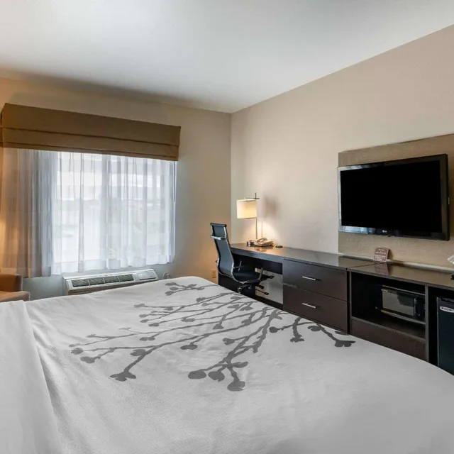 Standard, King Bed, Accessible, Sleep Inn & Suites Miles City I-94 3/4