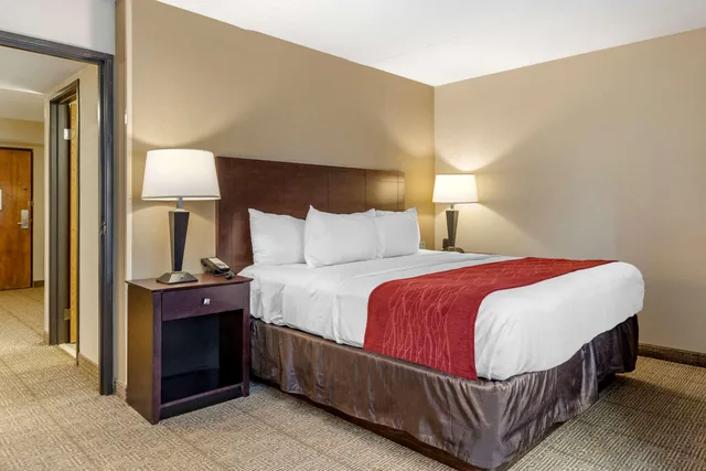 Efficiency, Suite, King Bed، Comfort Inn Lansing West MI 1/2