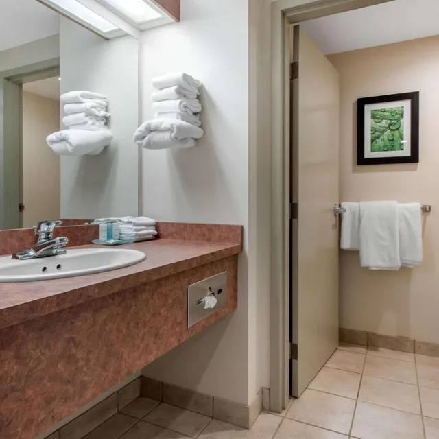 جناح بسرير كينج بغرفة نوم واحدة، Clarion Hotel & Suites Brandon 3/4