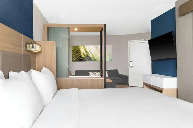 جناح بسرير كينج، SpringHill Suites by Marriott Holland 2/5