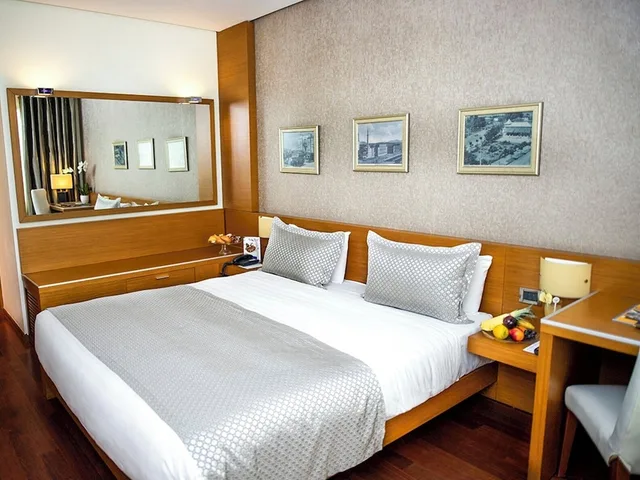 غرفة ديلوكس بسرير كينج، Tirana International Hotel and Conference Centre 1/8