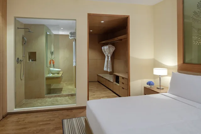 جناح بسرير كينج، Radisson Blu Hotel, New Delhi Dwarka 9/10