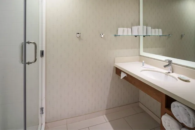 جناح استوديو بسرير كينج مع سرير سحّاب إضافي، SpringHill Suites Philadelphia Airport/Ridley Park 3/3