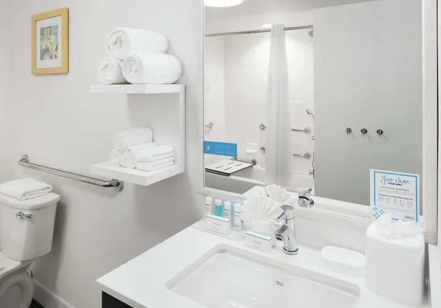 غرفة لذوي الإعاقة، Hampton Inn Los Angeles/Santa Clarita 3/3