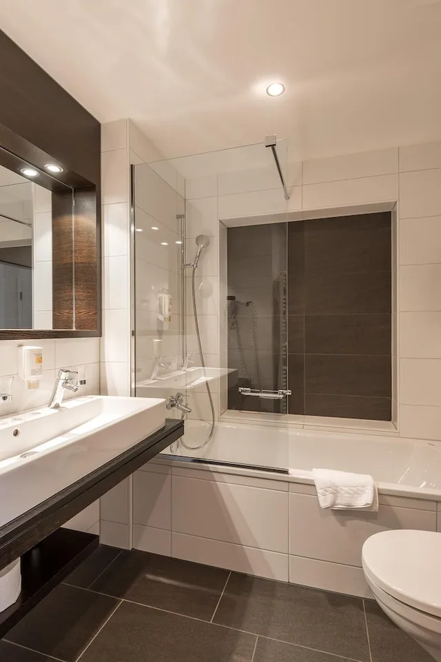 غرفة بزنس كلاسيكية، Hotel Alpina Luzern 10/10