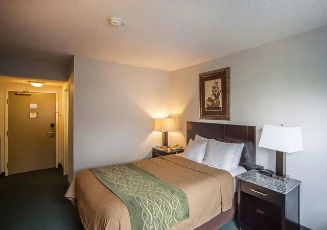 غرفة قياسية بسرير مزدوج، Comfort Inn & Suites Edmonton Downtown 1/1