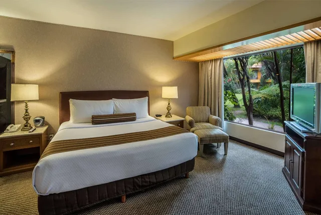 جناح جونيور بسرير كينج، Wyndham Garden Guadalajara Expo 4/5