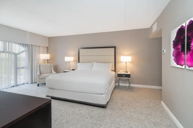 Suite, King Bed, Living Area, Holiday Inn Wilmington 4/7