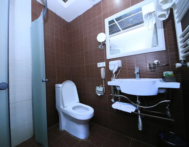 Standard, Single, Queen Bed, Borjomi Palace Hotel and Spa 3/3