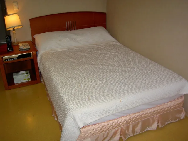 غرفة بسرير مزدوج، Busan Central Hotel 4/9