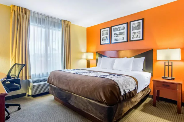Upgrade, Suite, King Bed، Sleep Inn & Suites Athens South 1/2