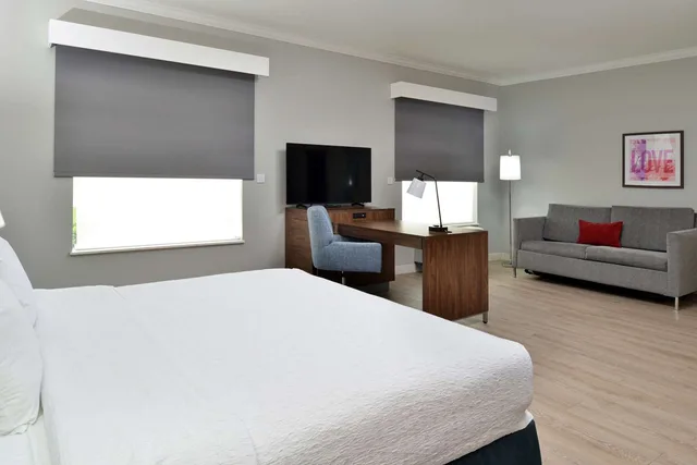 جناح استوديو بسرير كينج مع أريكة، Hampton Inn Suites Greenville 1/10