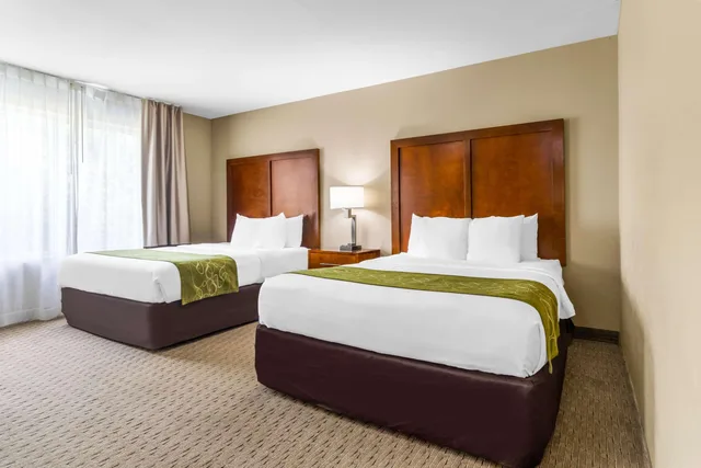 جناح لذوي الإعاقة، Comfort Suites Mount Vernon 1/2
