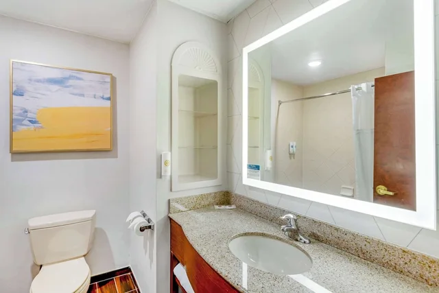 جناح بسرير كينج بحوض جاكوزي، Comfort Suites East Brunswick - South River 4/4