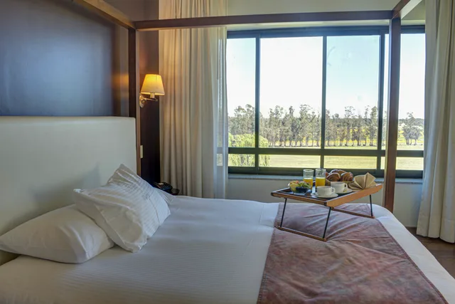 Executive, Suite, Regency Park Hotel 2/2