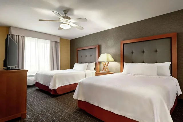 2 Bedrooms, Suite, King Bed, 2 Queen Beds, Sofa, Homewood Suites by Hilton Allentown-West/Fogelsville, PA 1/3